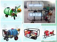 高效率防除治病蟲(chóng)打藥機(jī) 背負(fù)式高壓噴霧器助力現(xiàn)代農(nóng)業(yè)